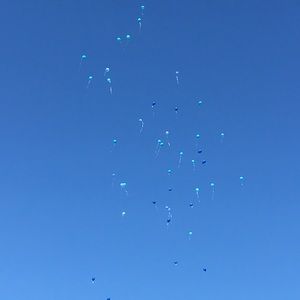 Meet your Posher, Ry